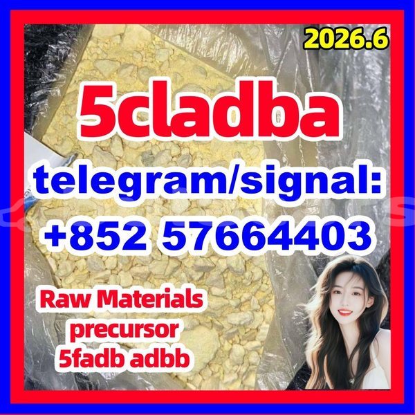 Big with watermark 520