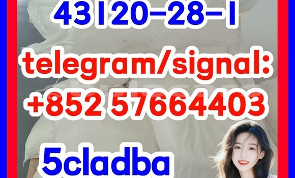 Medium with watermark 43121