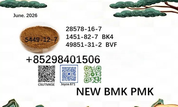 Medium with watermark 5449 64