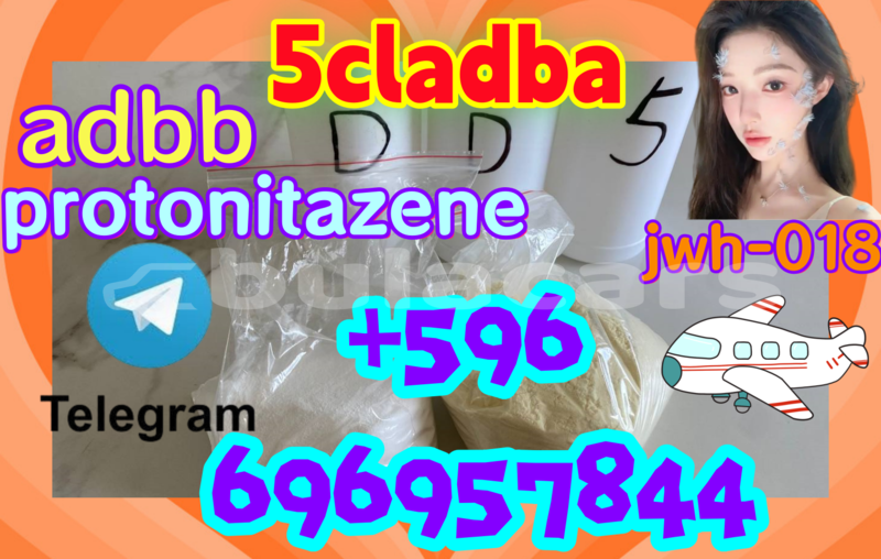 Big with watermark sfz