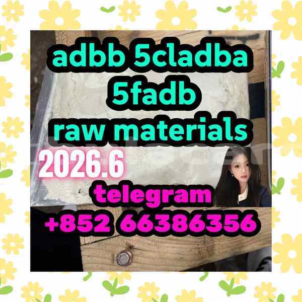 Big with watermark 13
