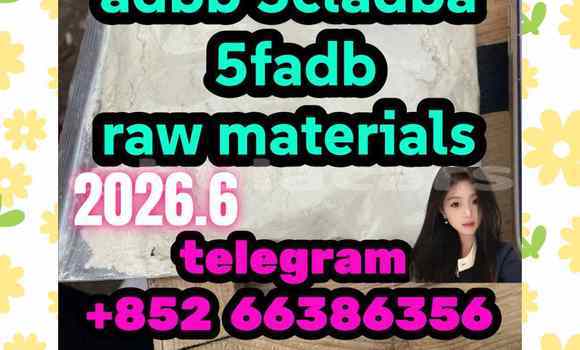 Medium with watermark 13