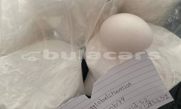 Medium with watermark photo 2026 06 02 05 41 25