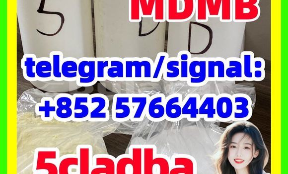 Medium with watermark 52