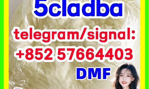 Medium with watermark 53