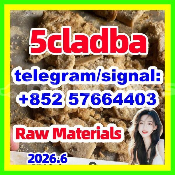 Big with watermark 54