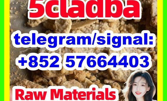 Medium with watermark 54
