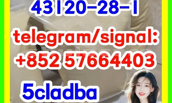 Medium with watermark 511