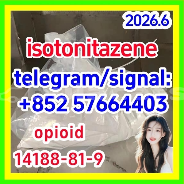 Big with watermark i1