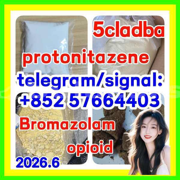 Big with watermark z1