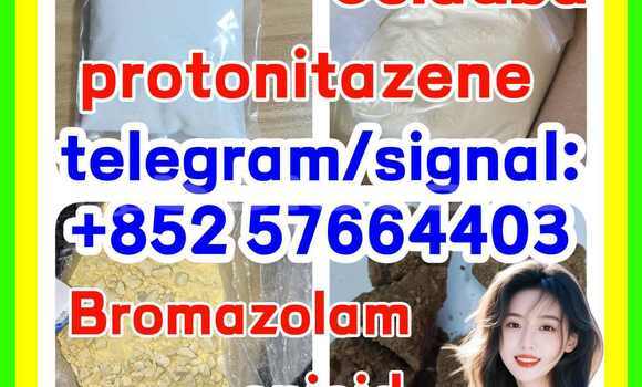 Medium with watermark z1