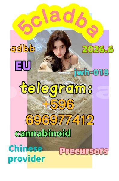 Big with watermark 0.0