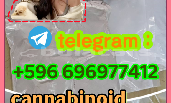 Medium with watermark 8.