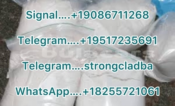 Medium with watermark a2