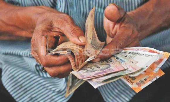 Buy Hadi in Import - Dubai in Central Buy Hadi in Import - Dubai in Central