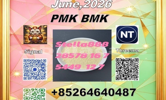 Medium with watermark 142250