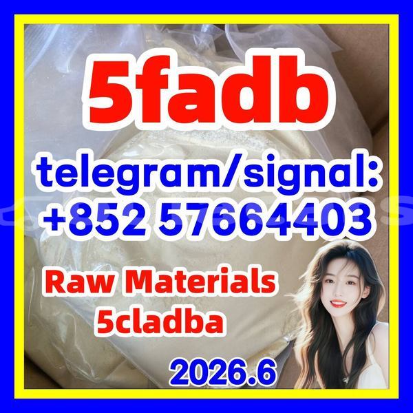 Big with watermark 510