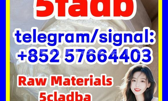 Medium with watermark 510