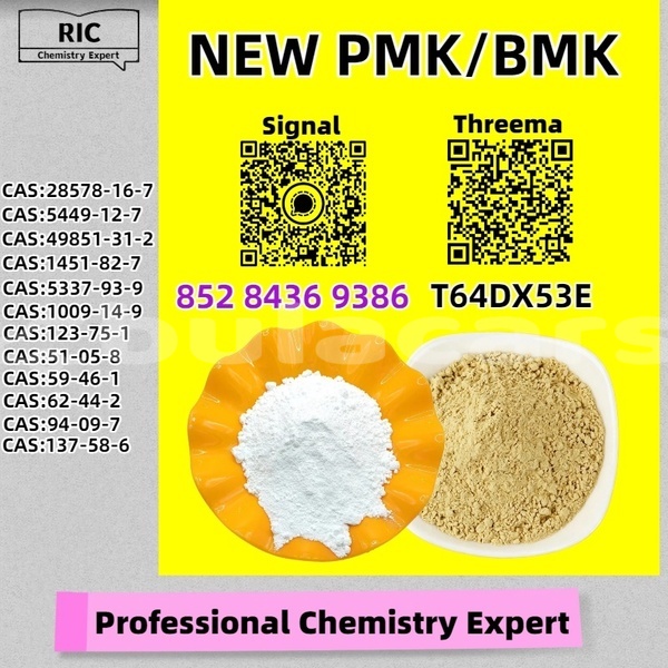 Big with watermark bertone freeclimber central korovou 20117