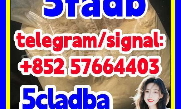 Medium with watermark 59