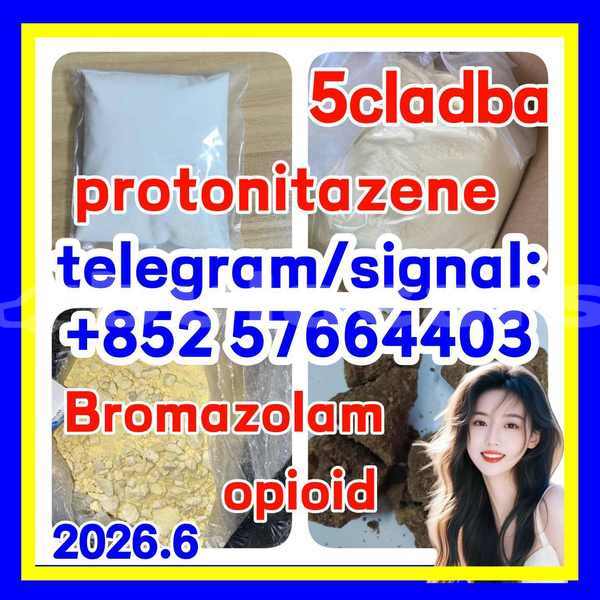 Big with watermark z1