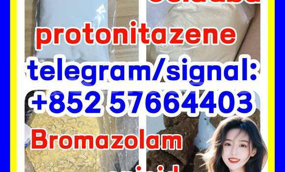 Medium with watermark z1