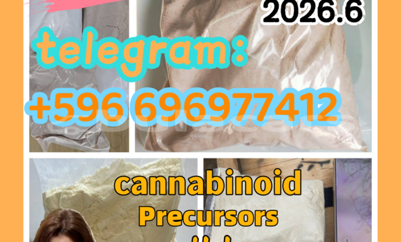 Medium with watermark 0.2