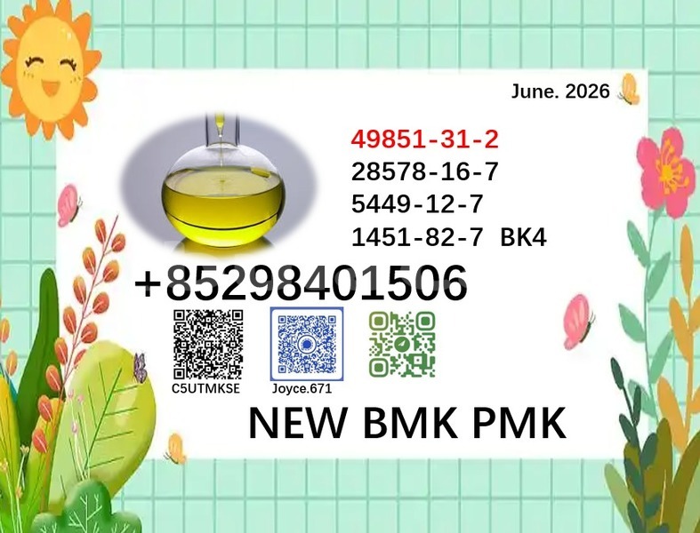 Big with watermark 49851 65