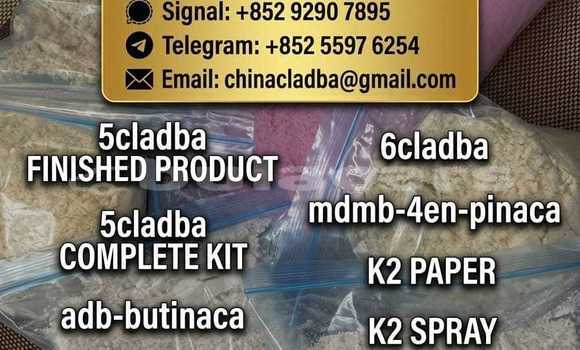 Buy Buy pink 5cladba online in Import - Dubai in Central Buy Buy pink 5cladba online in Import - Dubai in Central