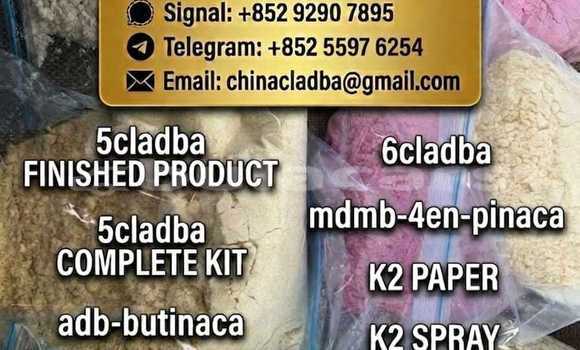 Buy Order 5F-ADB-PINACA in Korokade in Northern Buy Order 5F-ADB-PINACA in Korokade in Northern