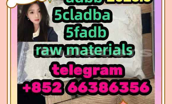 Medium with watermark 2