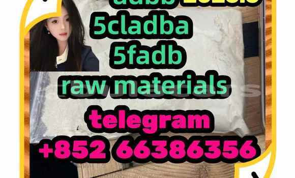 Medium with watermark 6