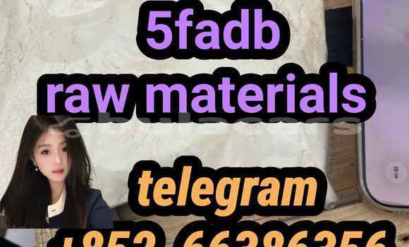 Medium with watermark 11