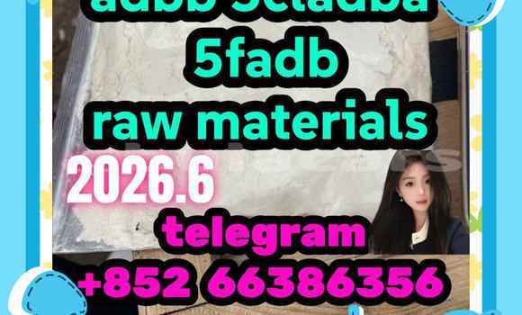Medium with watermark 13