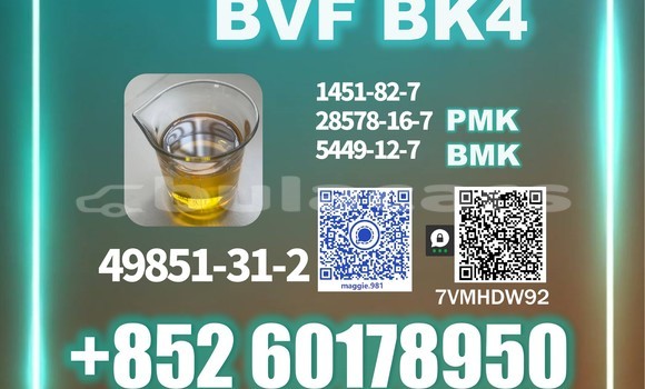 Medium with watermark bvf cas 49851 31 2 source factory