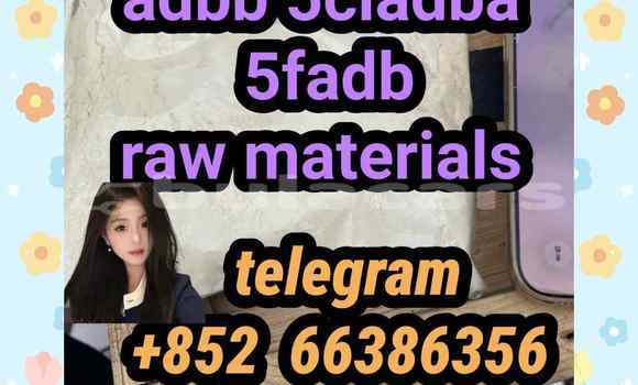 Medium with watermark 2