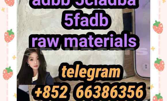 Medium with watermark 4