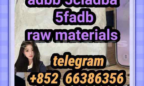 Medium with watermark 6