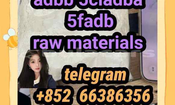 Medium with watermark 7