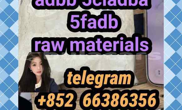Medium with watermark 11