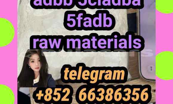 Medium with watermark 12