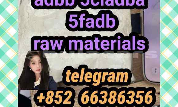 Medium with watermark 14