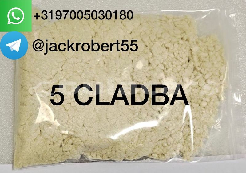 Big with watermark whatsapp image 2026 06 18 at 12.22.00 pm