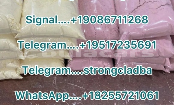 Medium with watermark a1