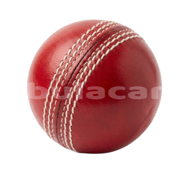 Big with watermark 56