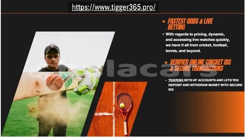 Big with watermark tiger6