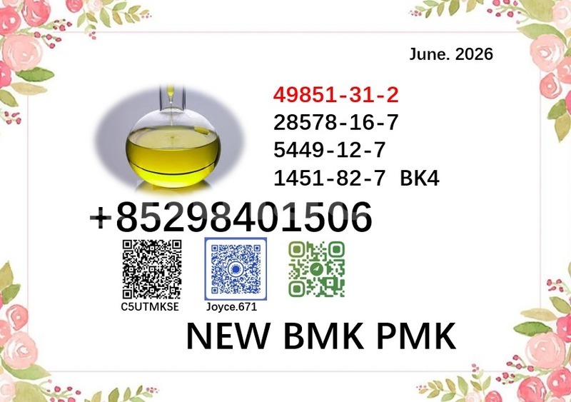Big with watermark 49851 69