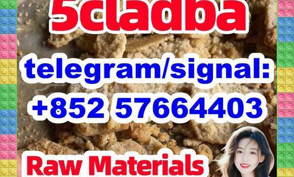 Medium with watermark 51