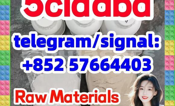 Medium with watermark 59