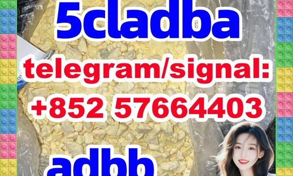 Medium with watermark 510